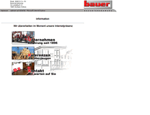 Tablet Screenshot of bauer-sinsheim.de